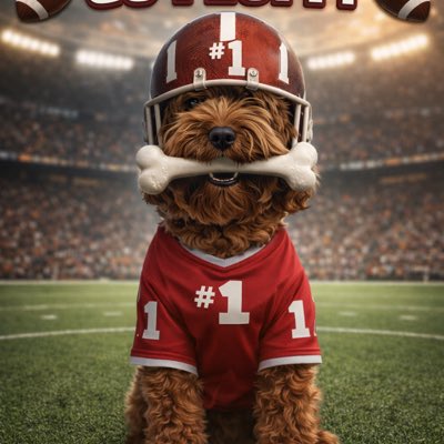 luciaboxing's tweet photo. #NewProfilePic https://t.co/3xD76PUjOA