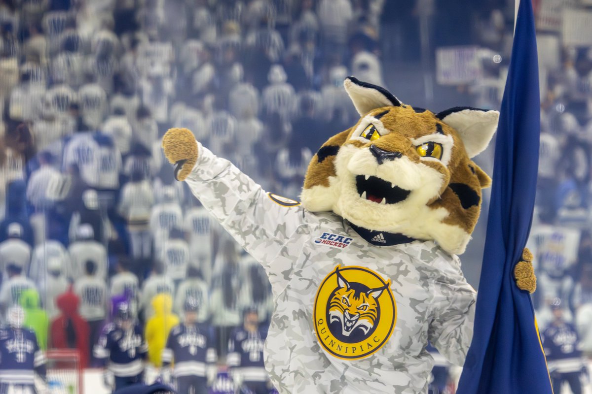 Luke Krout tweet media