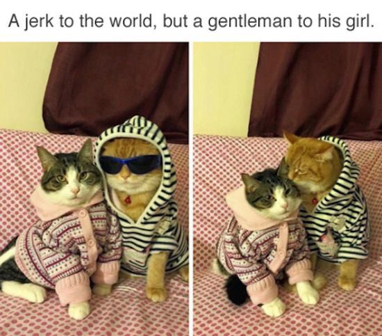 WholesomeMeme's tweet photo. https://t.co/PipFLN4cd9