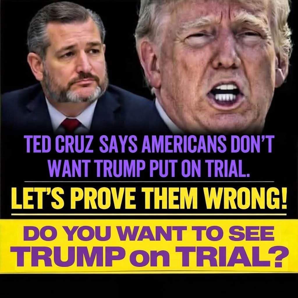 seanmack tweet media