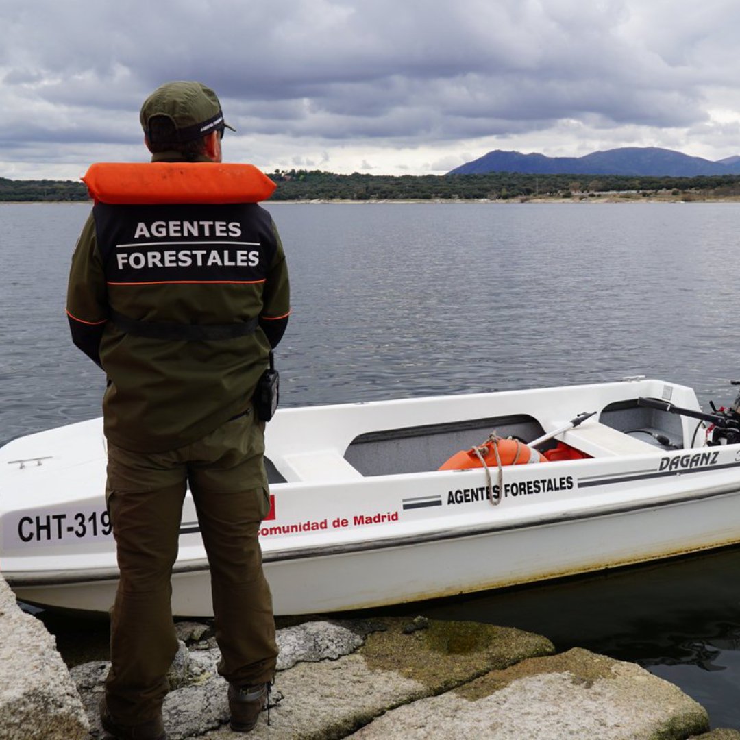 Entre las funciones que tenemos los #AgentesForestalesCM 👮‍♂️🚔🦅 está el control de actividades piscícolas. 🎣

Los embalses madrileños tienen una alta presión deportiva. Velamos por su conservación, aunque no siempre nos veas... Si nos necesitas: 112 ☎

#PoliciaMedioambiental
