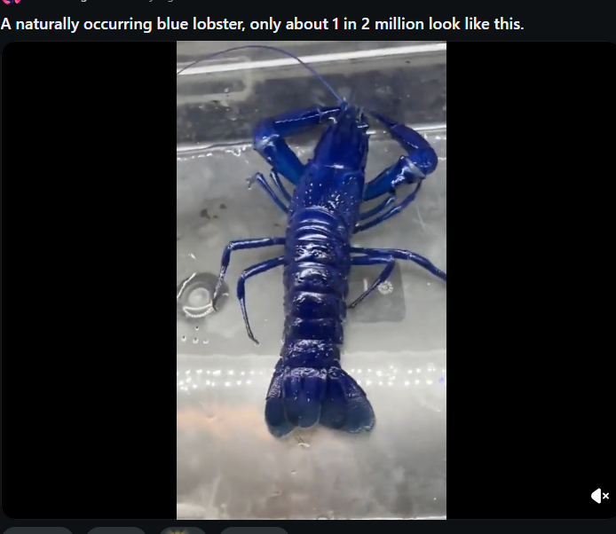 NewtIsDumb_'s tweet photo. its happened again </3 so much bluer https://t.co/T8e3Vc4Sr3