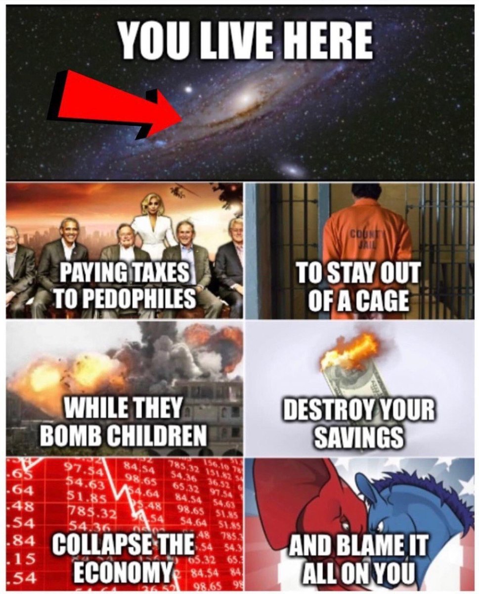 redpillbot (@redpillb0t) on Twitter photo 