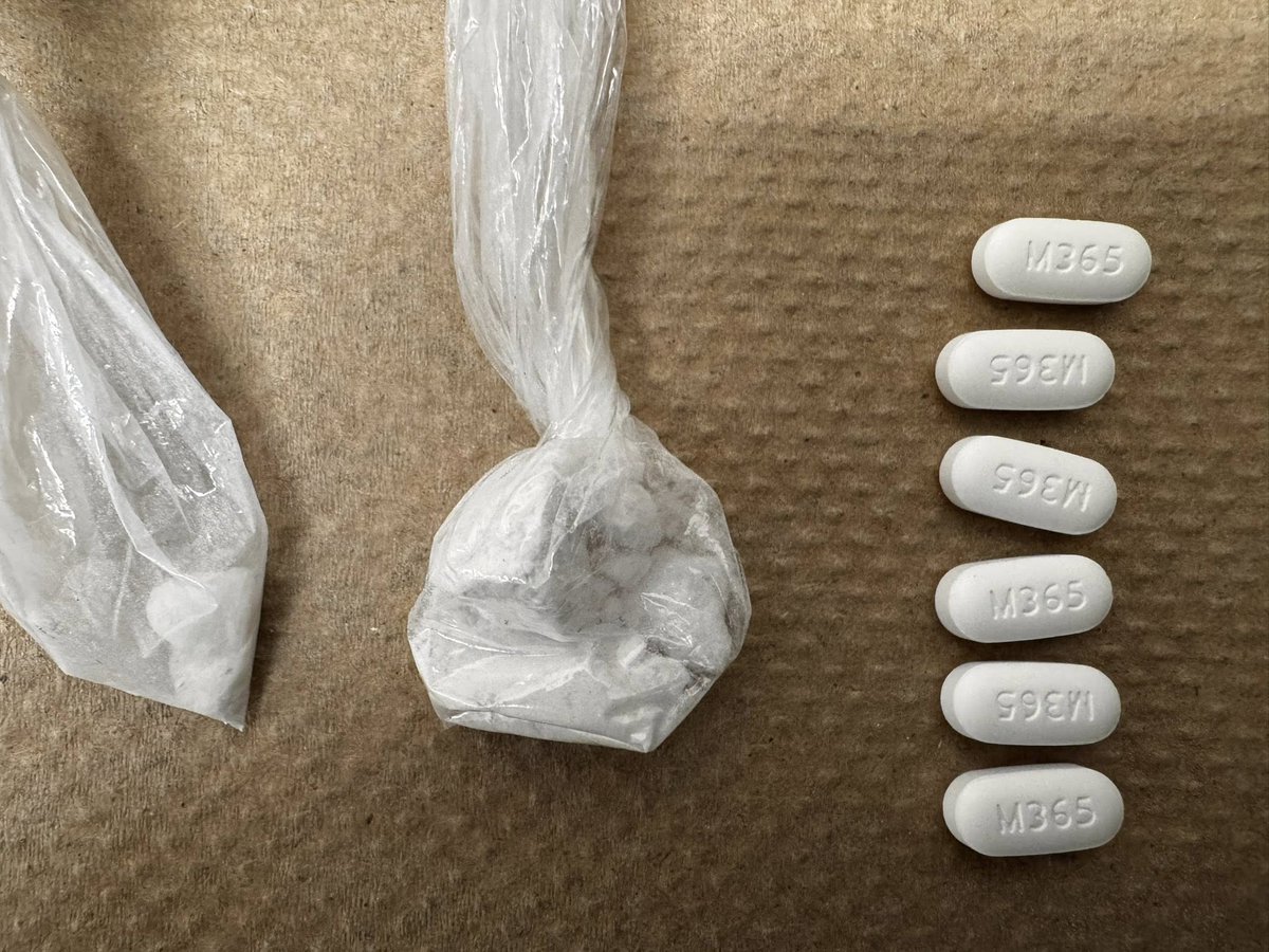 Lisa Rantala tweet media