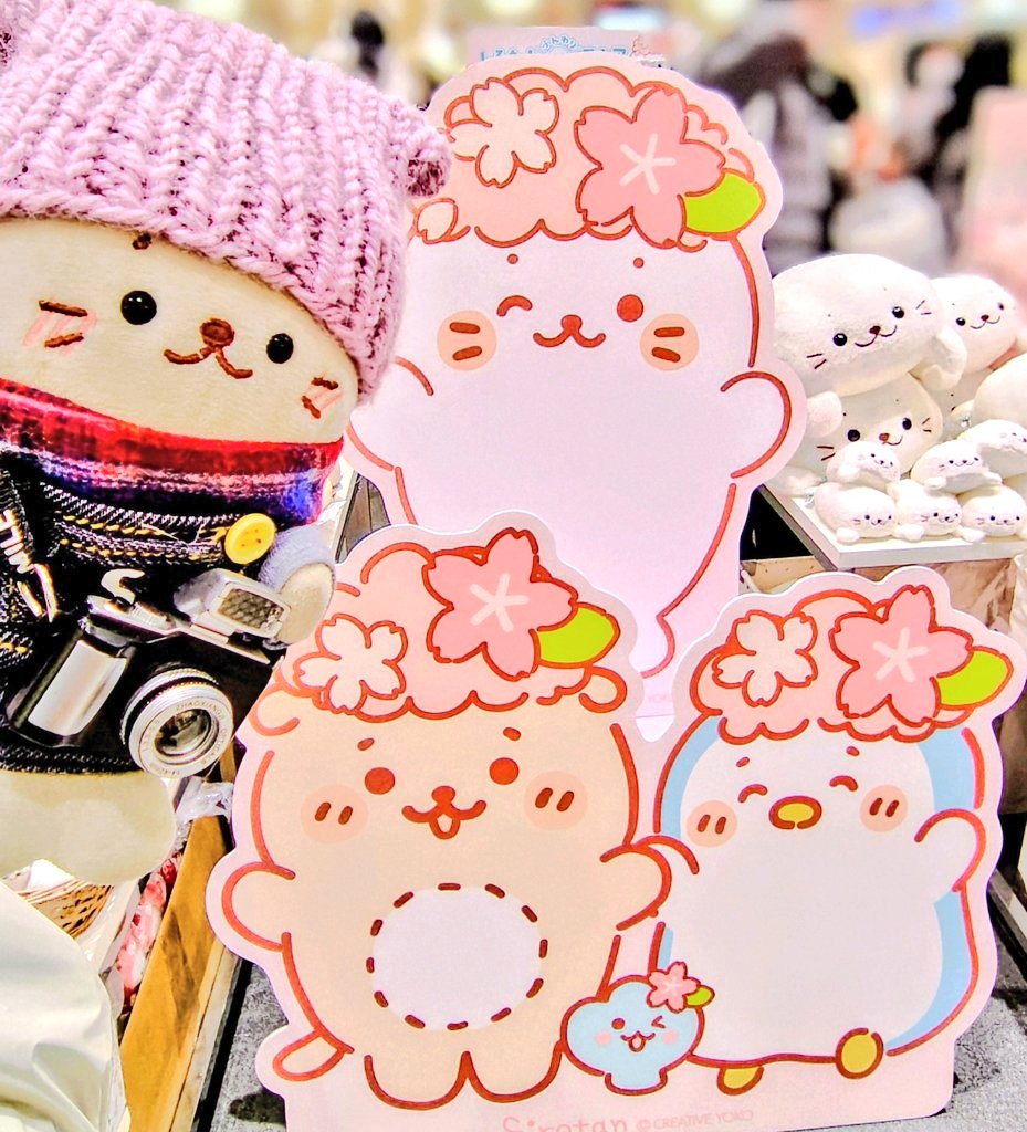 🌸🌸🌸🌸🌸🍀🌸🌸🌸🌸🌸🌸🌸🌸🌸🌸🌸🌸🌸🌸🌸🌸🌸🦭🌸🌸🌸🌸