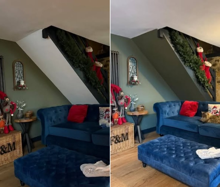 DecoratorsU's tweet image. Left or right, and why?

#left #right #Decoration #decorator