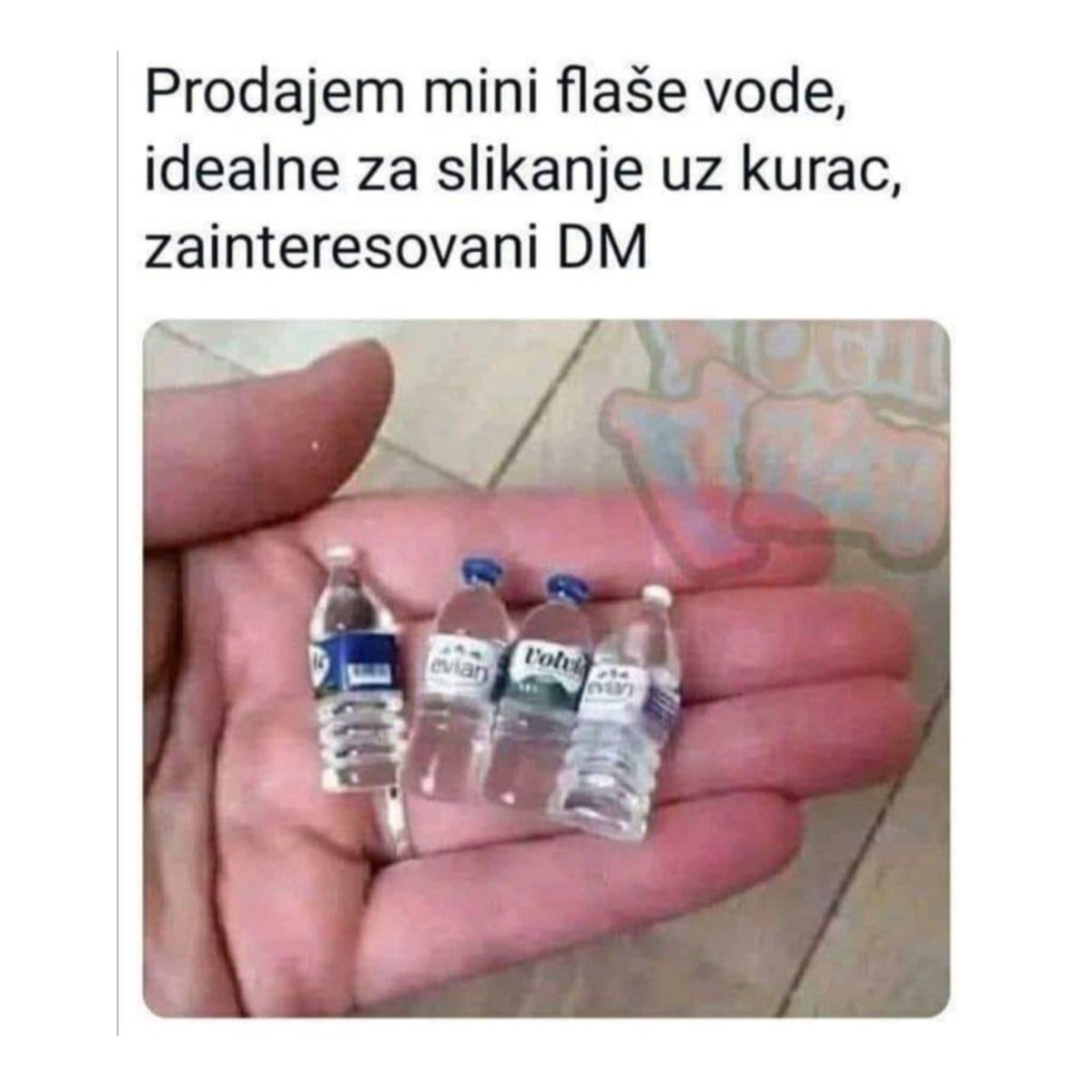 zagorebrte tweet media