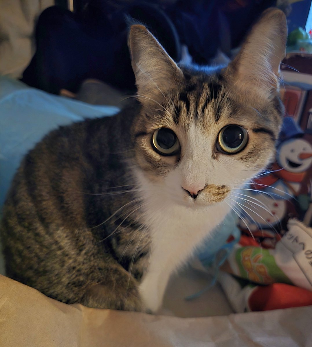 まりもちゃん！と🧌 (@marimo2021915) / Posts / X