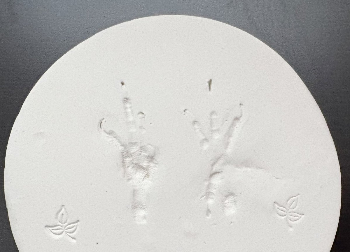 I just got my bird’s ashes back today

I miss you so much my dear friend