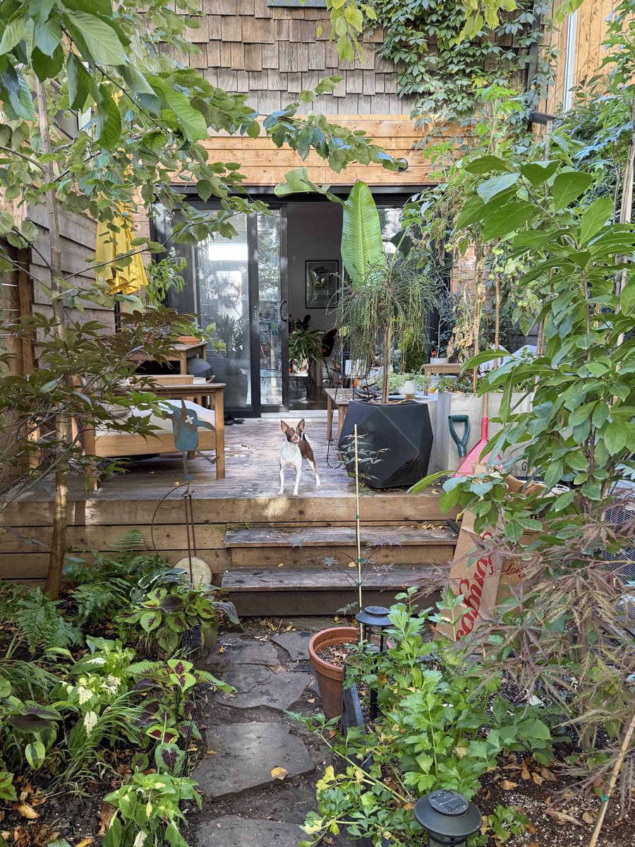 justingodard's tweet image. I always spot plenty of doggos in the garden as well! 😊🐶 #dogs #backyard #GardensHour