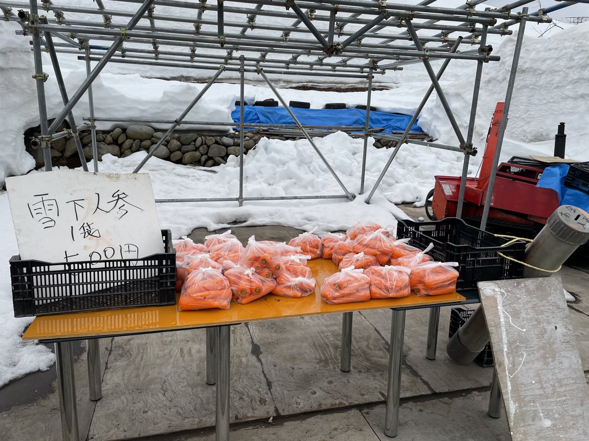 カワハヤ (@uu_nousonseitai) on Twitter photo 