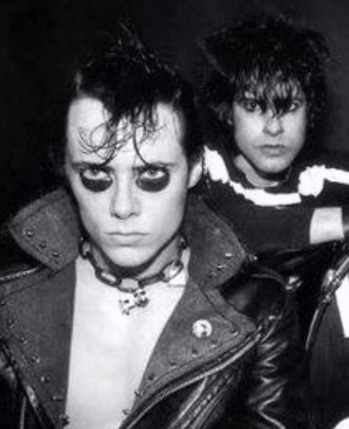 Nice Bison tweet media