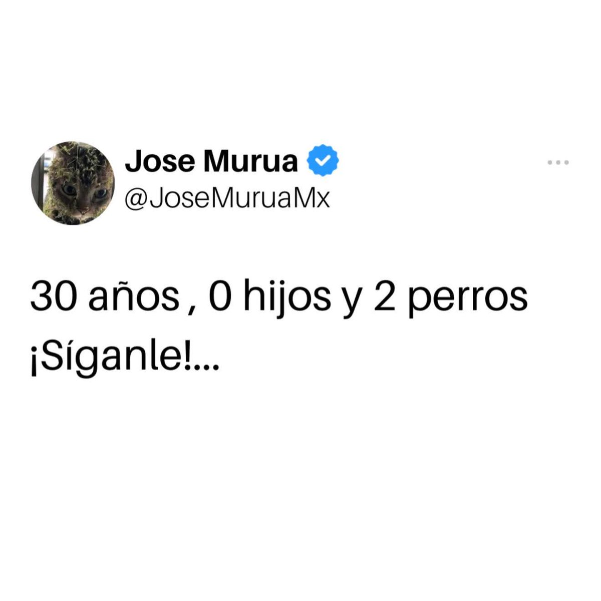 MiVidaSHPeru's tweet photo. 42 años  0 hijos y 2 perros 🐕 
#Childfree #MiVidaSinHijosPerú #NoQuieroHijosYATiQueChu https://t.co/Tmveu49QK6