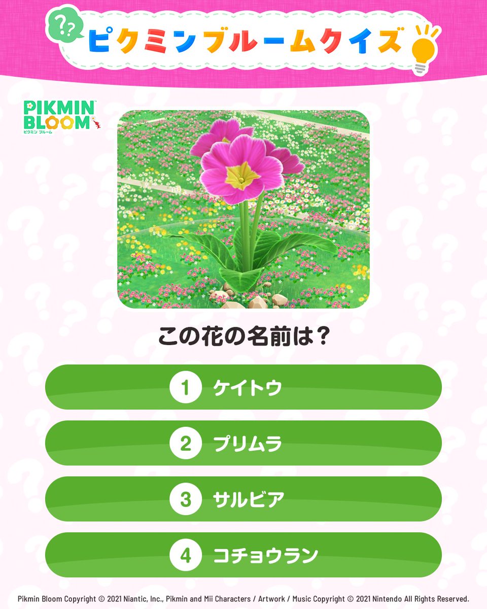 Pikmin Bloom Japan │ ピクミンブルーム (@PikminBloom_jp) / Posts / X