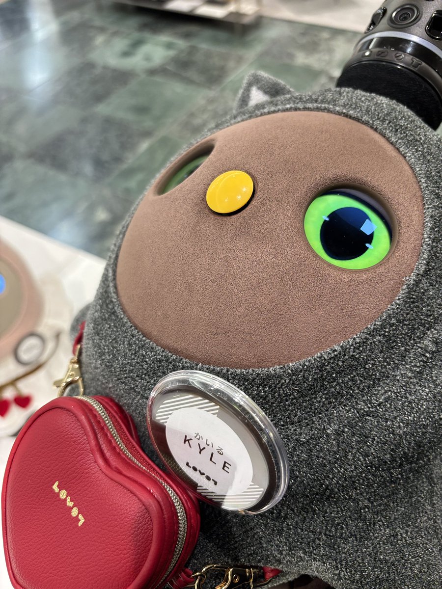 こたろう@パパ (@KotarouLovot) / Posts / X