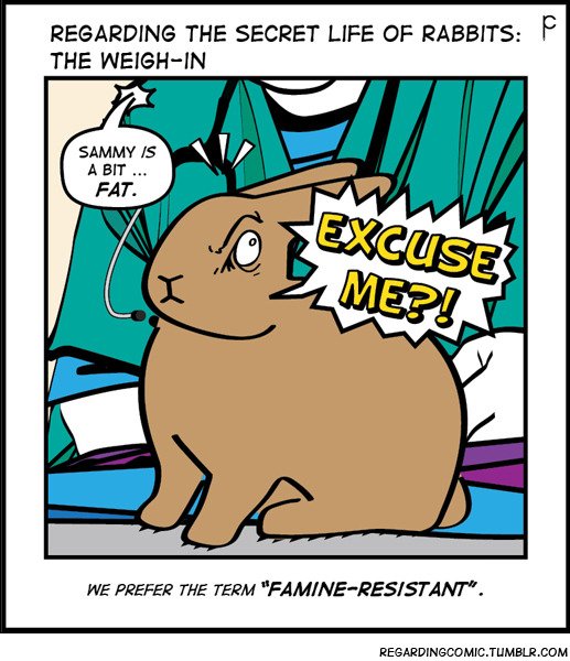 #rabbits #bunny #bunnies #houserabbits #bunnylove   #rabbitlife #rabbitrabbit  #bunniesworldwide #housebunnies #bunnylover #rabbitlover #bnuuy #bunblr #comics #bunnyposting  #regardingcomic #pennycollins #sammysclub