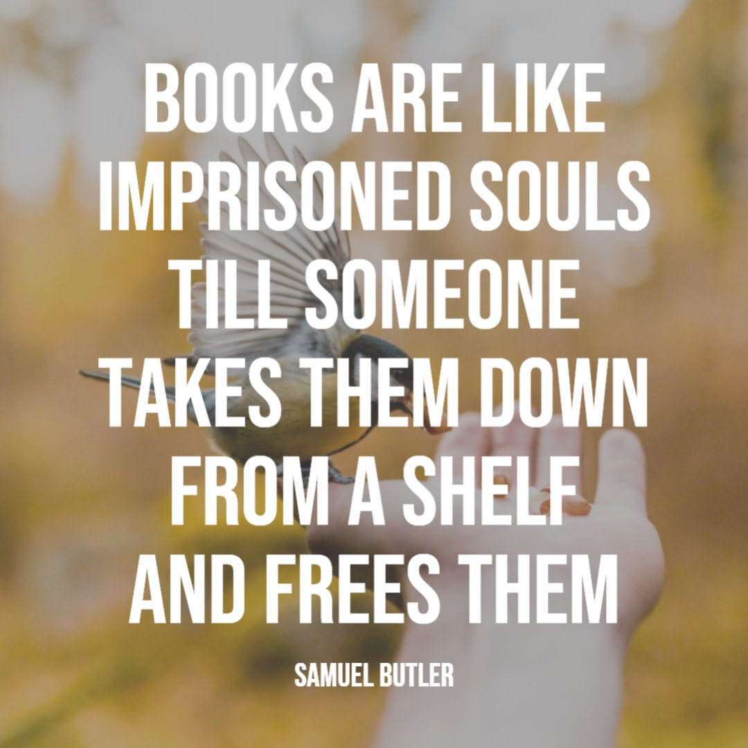 Kdibianca's tweet image. Books.
#WritingCommunity #readingcommunity #writersoftwitter #readersofx #amwriting #mystery 
amazon.com/dp/B0CKB31PT9