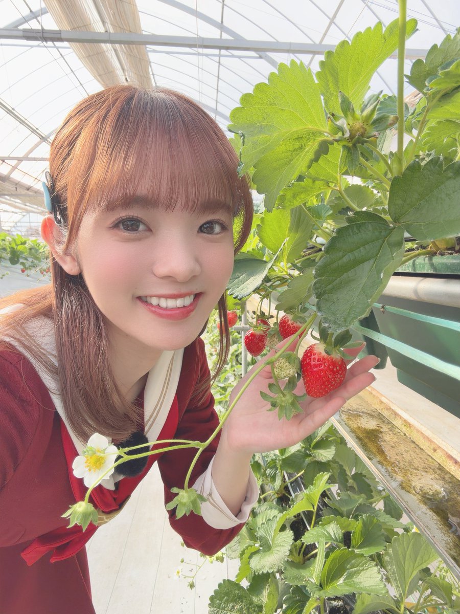 「ラブライブ！シリーズ15周年アニバーサリーSPECIAL」

ありがとうございました！💗

なっちゃん先輩とさゆりん先輩がずっと優しくて…😭✨
大好きなラブライブ！シリーズの歴史を、大好きで尊敬する先輩方と一緒に振り返ることができて嬉しかったです🧡🧡🧡

#lovelive #lovelive15th