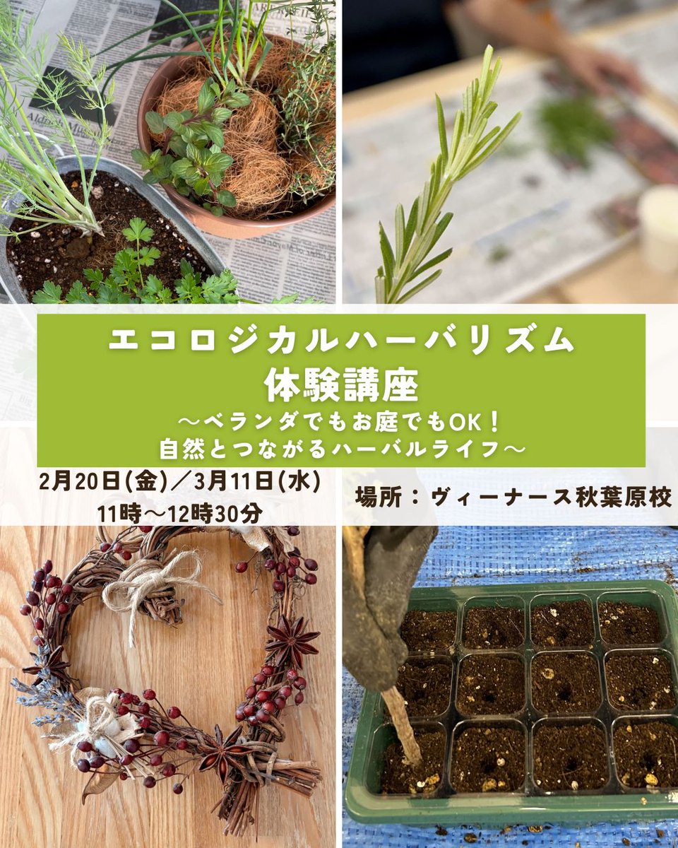 venurse's tweet photo. 【エコロジカルハーバリズム体験講座 】
～ベランダでもお庭でもOK！自然とつながるハーバルライフ～

お申し込みはこちら
https://t.co/EgNrBVIWWv

#園芸
#園芸体験
#園芸講座
#クラフト講座
#ハーブクラフト
#ヴィーナース
#venurse
#venurseherbs https://t.co/lEMBlY1uvT