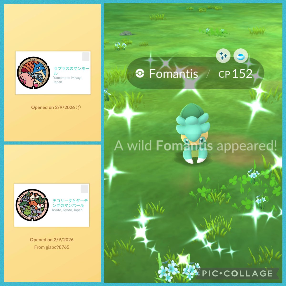 SmileThippy's tweet photo. ૮₍˶ᵔ ᵕ ᵔ˶₎ა ᵗʱᵃᵑᵏᵧₒᵤ ꕤ*.゚ 🎁
#ShinyFomantis
#PokemonGO🧢🫶🏻 https://t.co/Wbh80Kojct