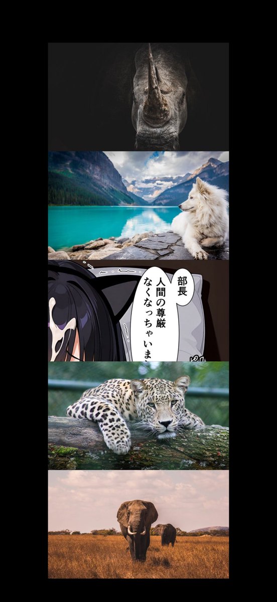 ゆれゆれ🔞 tweet media