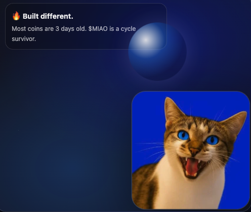 CATS COIN ( $MIAO ) tweet media