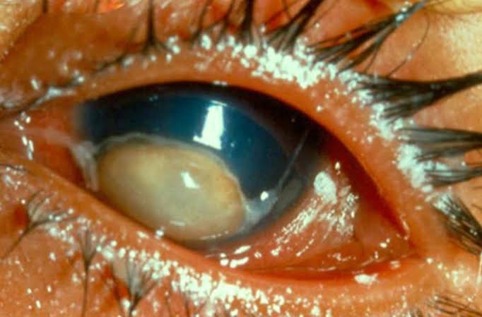 Dr. AK 🇮🇳 tweet media