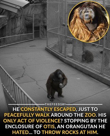 witte_sergei's tweet image. It is better to be a warrior in a garden than a gardener in a war.