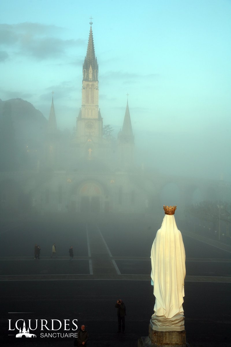 RosaryMum's tweet photo. O Mary conceived without sin pray for us who have recourse to thee. https://t.co/e45UHfPs7b