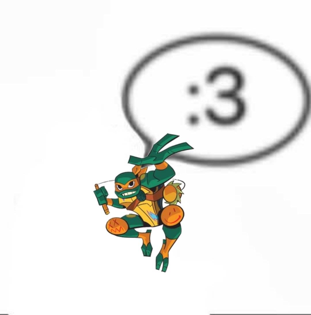 Mini 🐢 tweet media