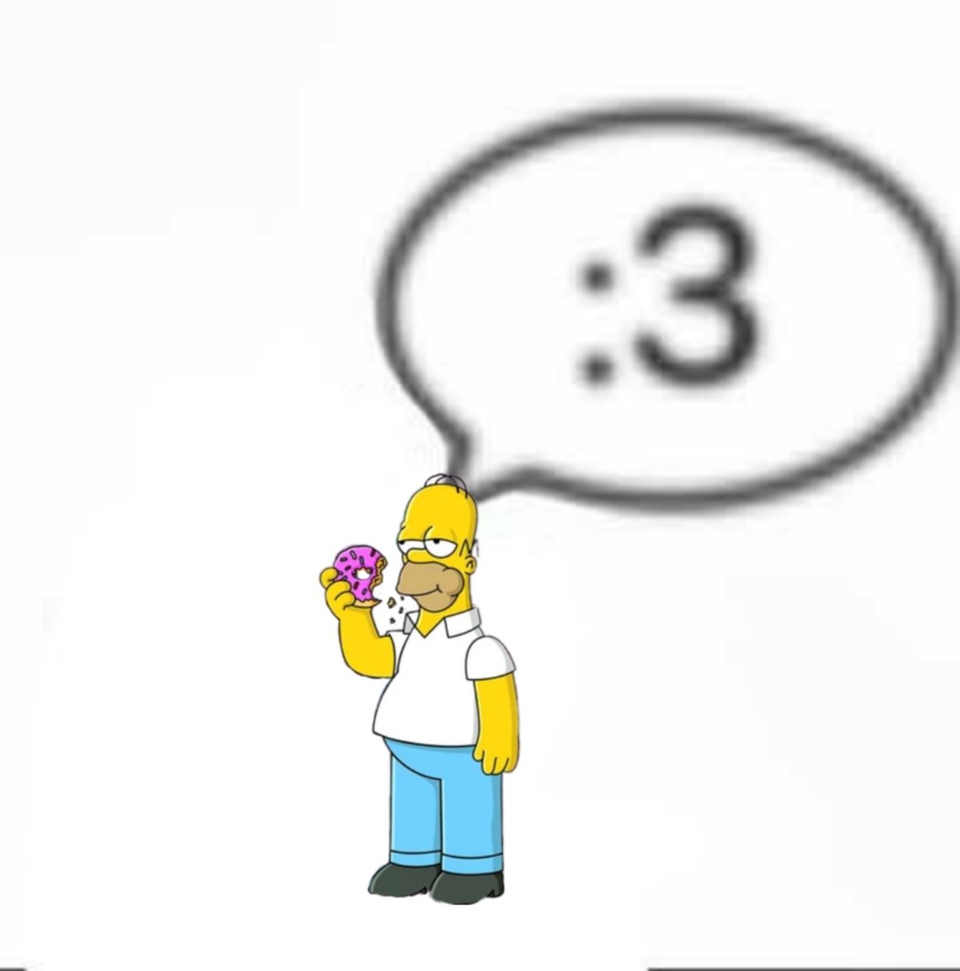 Mini 🐢 tweet media