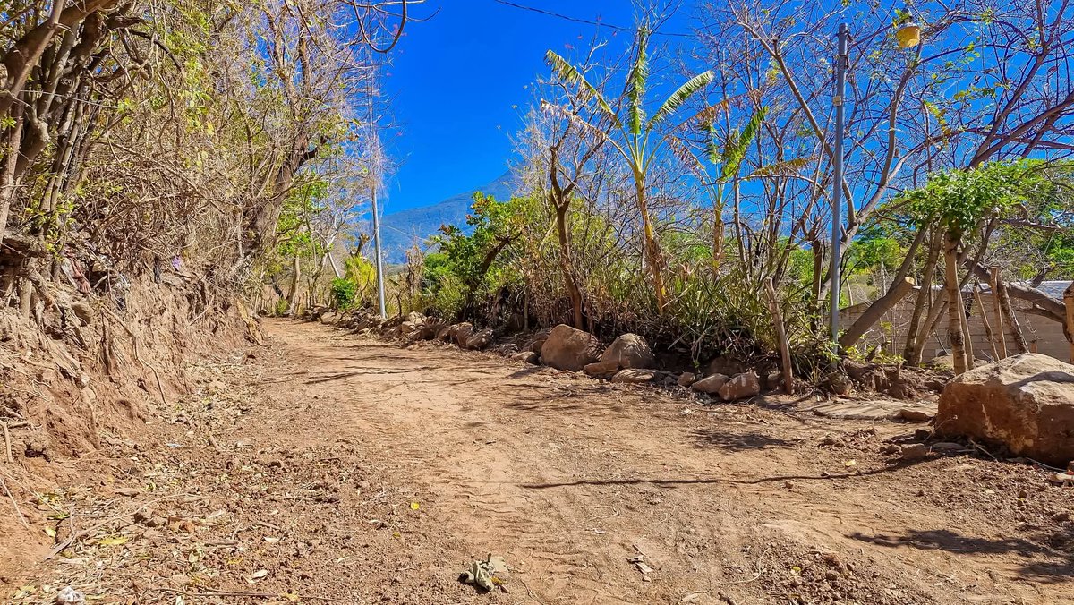 📍Distrito de San Juan Nonualco 

🚜✨ Continuamos fortaleciendo la conectividad vial.

La maquinaría municipal, a tráves de las #ConexionesRurales, se encuentra realizando trabajos de conformado de calle en el pasaje Los Abarca, cantón El Pajal, mejorando el acceso para