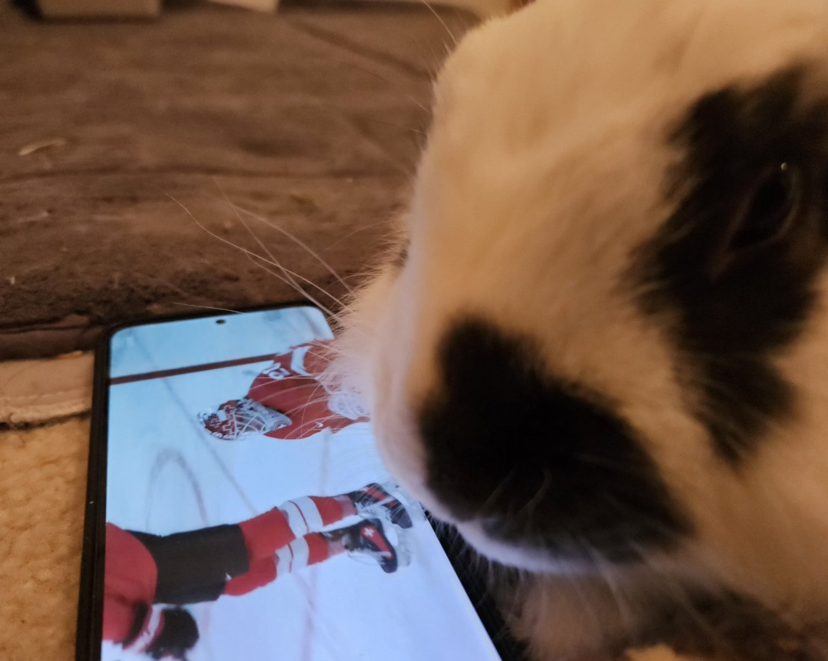 하키보고있토🏒