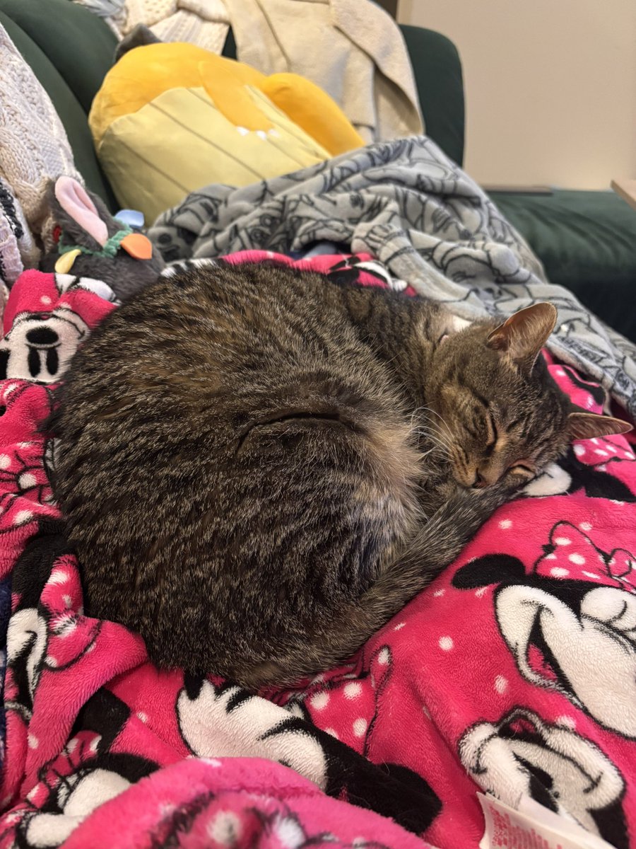 studye saye , Eep on ur mombe goode for she healf