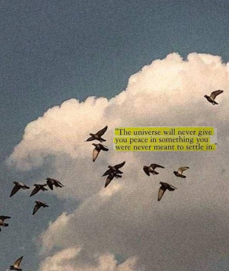 Stop settling for "comfortable" when you were made for "extraordinary." 🕊️✨

​If you feel a lack of peace, it might be the universe's way of nudging you toward where you truly belong. 

Trust the process and keep moving forward. ☁️🚀

​#TrustTheUniverse #GrowthMindset