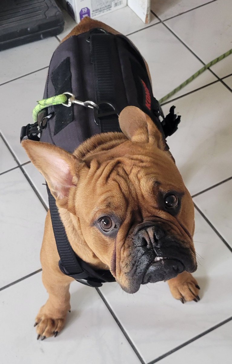 Kenny Nguyen tweet media