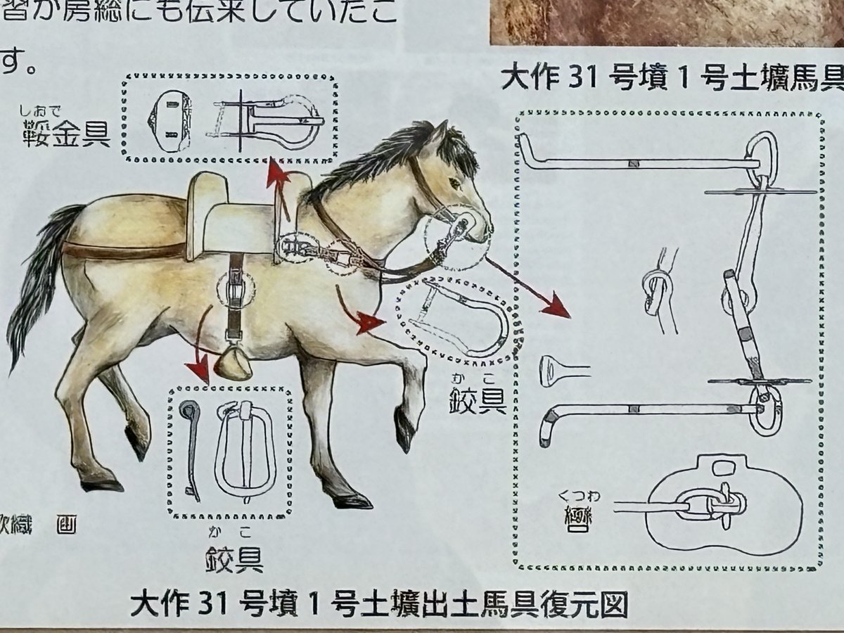地中からのメッセージ 】ウマ年だけに！馬にまつわる展示紹介🐴 佐倉市