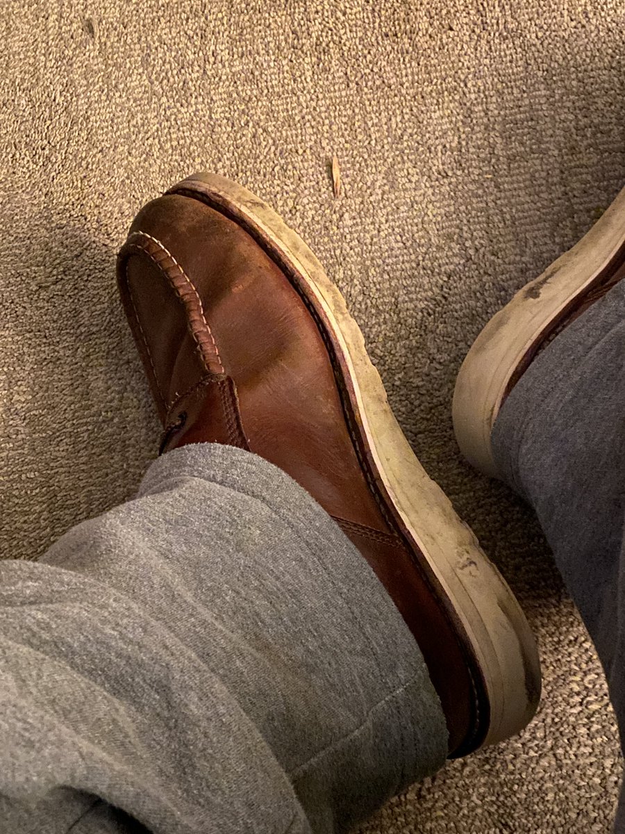 ๐๐๐๐ข๐๐ข๐๐ฅ_๐๐ฒ๐๐๐ซ๐ฐ๐จ๐ฅ๐ - ๐บ๐โโฌโ๏ธ๐ฎ๐ฑ tweet media