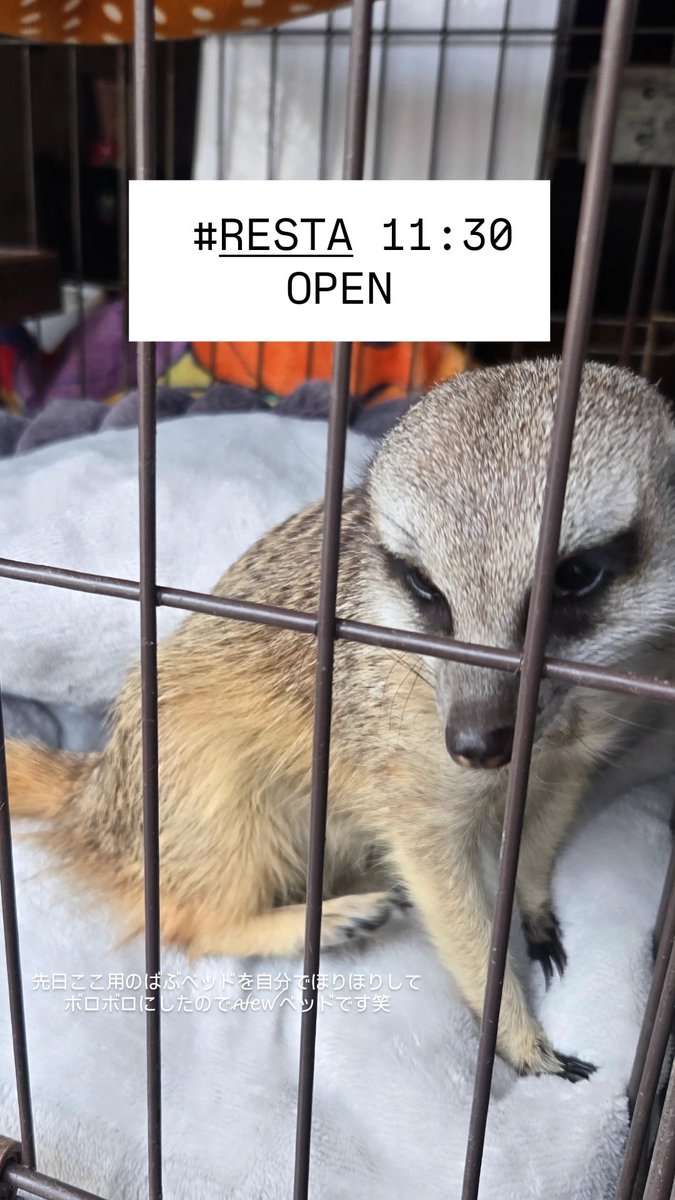 #RESTA 11:30 -  ̗̀ 𝙊𝙋𝙀𝙉 .ᐟ.ᐟ   ̖́-
火曜日です☕️
明日と明後日（水・木）は定休日です🙇
冬なので、あったまりにどうぞ❄️
お待ちしております𓂃⟡.·