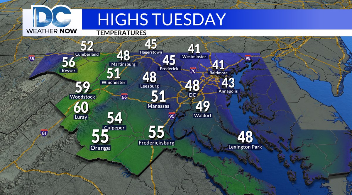 Jackie Layer tweet media