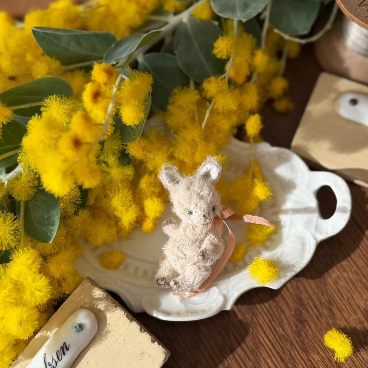 テディベア作家、Saeri Bear 小町さえり先生 <a href="/sae_oma/">Saeri Bear</a> によるお教室を開催

2026年2月26日（木）10：30〜16：30
※途中休憩30分

■お教室内容
豆うさぎ（約4cm）のお顔を作って、頭手足を手作りのジョイントで取付け完成！

詳細・お申し込みはこちら👉dearbear-meguro.square.site/s/stories/saer…

#DearBear目黒店