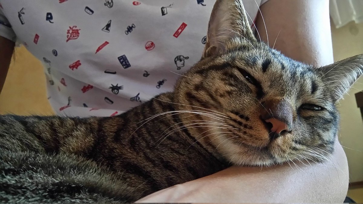 300円 (@minetarofuk) on Twitter photo 