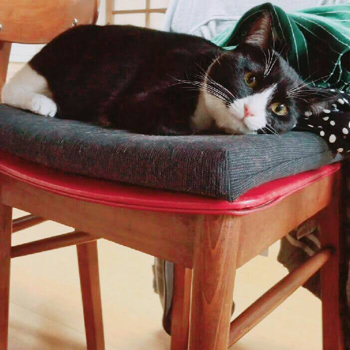 300円 (@minetarofuk) on Twitter photo 