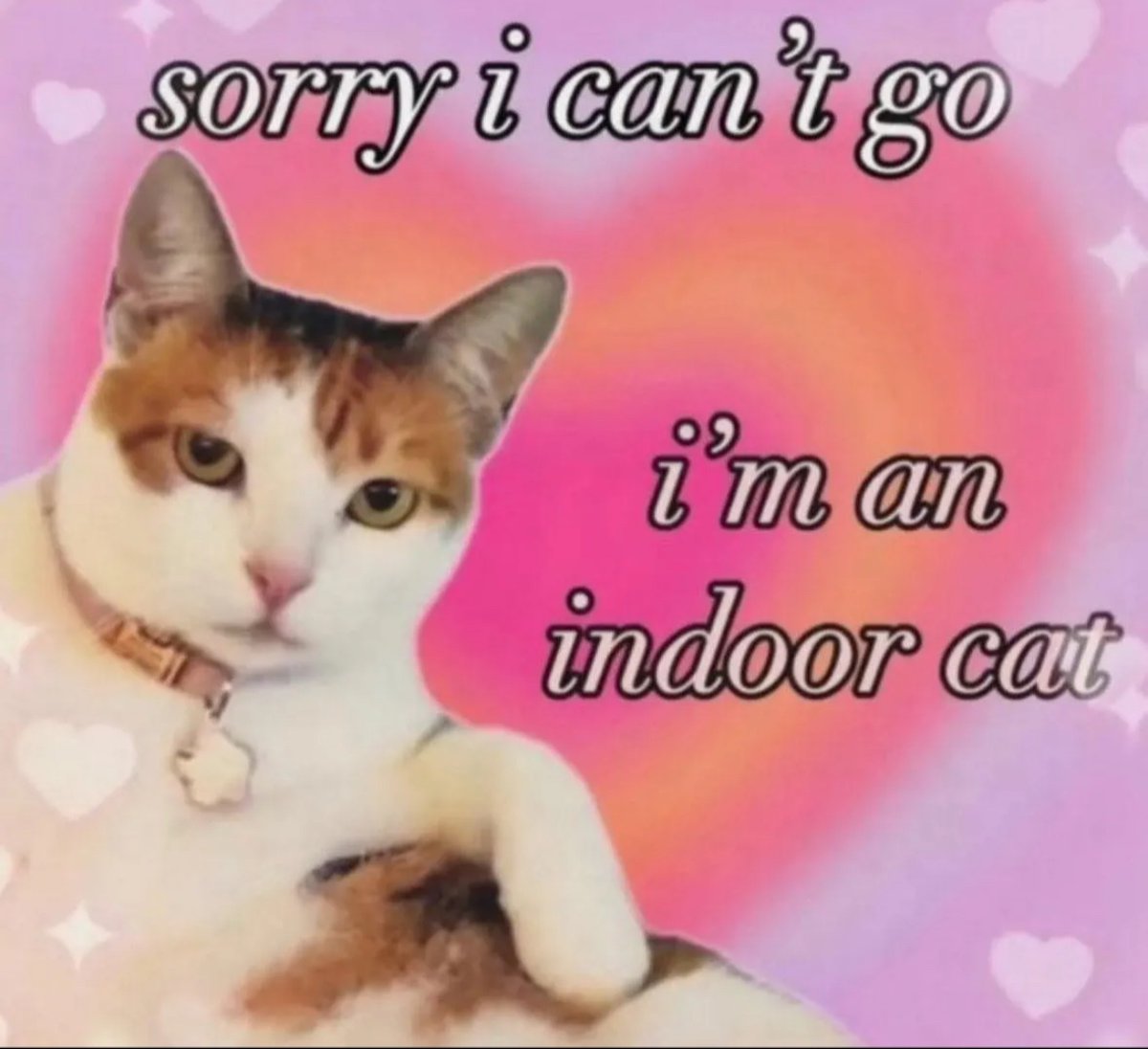 ShitpostGateway (@shitpostgate) on Twitter photo 