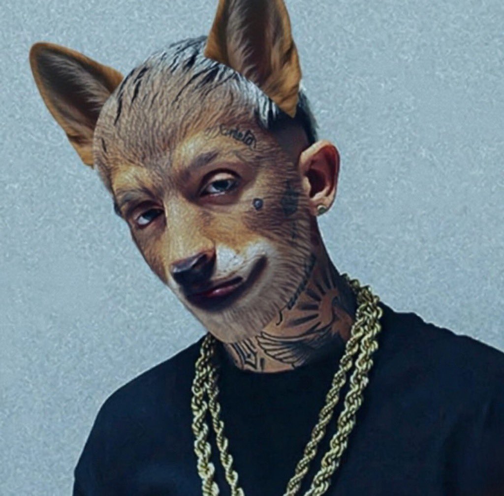 Vos sos therian pero mas therian que yo no se