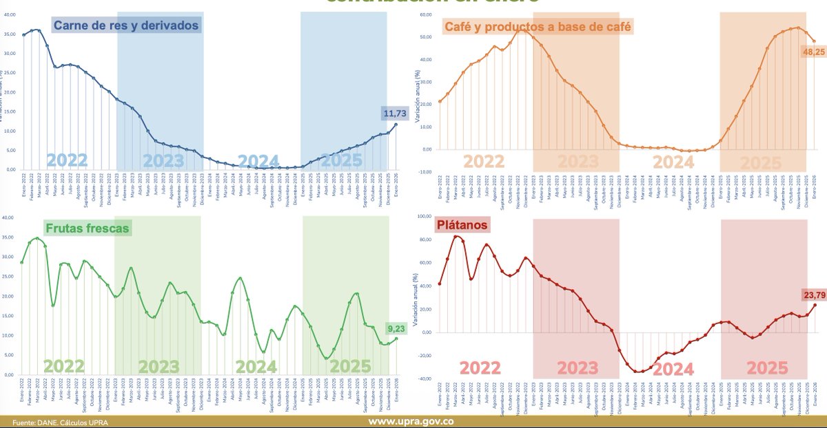 MCarvajalinoV's tweet photo. Acá se puede ver  el promedio de las variaciones mensuales del IPC entre el 2009 y el 2025. Enero es un mes de alzas, y no por que hayamos devuelto la dignidad a quienes hoy tiene su salario vital.
Durante enero de 2026, los mercados mayoristas mostraron un comportamiento mixto: aumentaron los precios de frutas, tubérculos y carnes, mientras se observaron reducciones en hortalizas, cereales y huevos, de acuerdo con los reportes del SIPSA-DANE.
Este patrón es consistente con la estacionalidad histórica de enero, mes que usualmente registra incrementos en alimentos frescos por la reducción temporal de cosechas clave, especialmente en tubérculos como la papa, con la excepción atípica observada en 2024.
El aumento en frutas estuvo jalonado por naranja común, banano criollo, mora de Castilla y tomate de árbol, con alzas asociadas a afectaciones climáticas en zonas productoras de Cundinamarca y Antioquia, que deterioraron la calidad y redujeron la oferta disponible.
Las precipitaciones superiores al promedio histórico registradas en enero  afectaron de manera directa la logística y recolección de productos como papa, yuca y cebolla, presionando sus precios al alza en los principales mercados.
En contraste, en hortalizas como arveja verde, zanahoria y cebollas, el clima indujo una aceleración de la recolección, aumentando la oferta inmediata y generando reducciones de precios, especialmente en Bogotá y Medellín.
En cereales, el arroz mantuvo una tendencia decreciente asociada a altos inventarios, mientras que el huevo presentó caídas de precio por excedentes de producción, reflejando dinámicas de sobreoferta más que choques de costos.
Varios productos advierten la recuperación de ciclos de bajos precios, otros, como el café al alza o el azucar a la baja, están asociados a las dinámicas de los precios internacionales.
El @MinAgricultura trabaja ya en la estabilización de precios de la carne con diferentes medidas conforme lo ha orientado @petrogustavo.
Lo que se debería estar hablando es del efecto de la variabilidad climática en la producción y el abastecimiento, y hoy de sus impactos, imprevisibles sobre la dignidad de quienes trabajan la tierra.