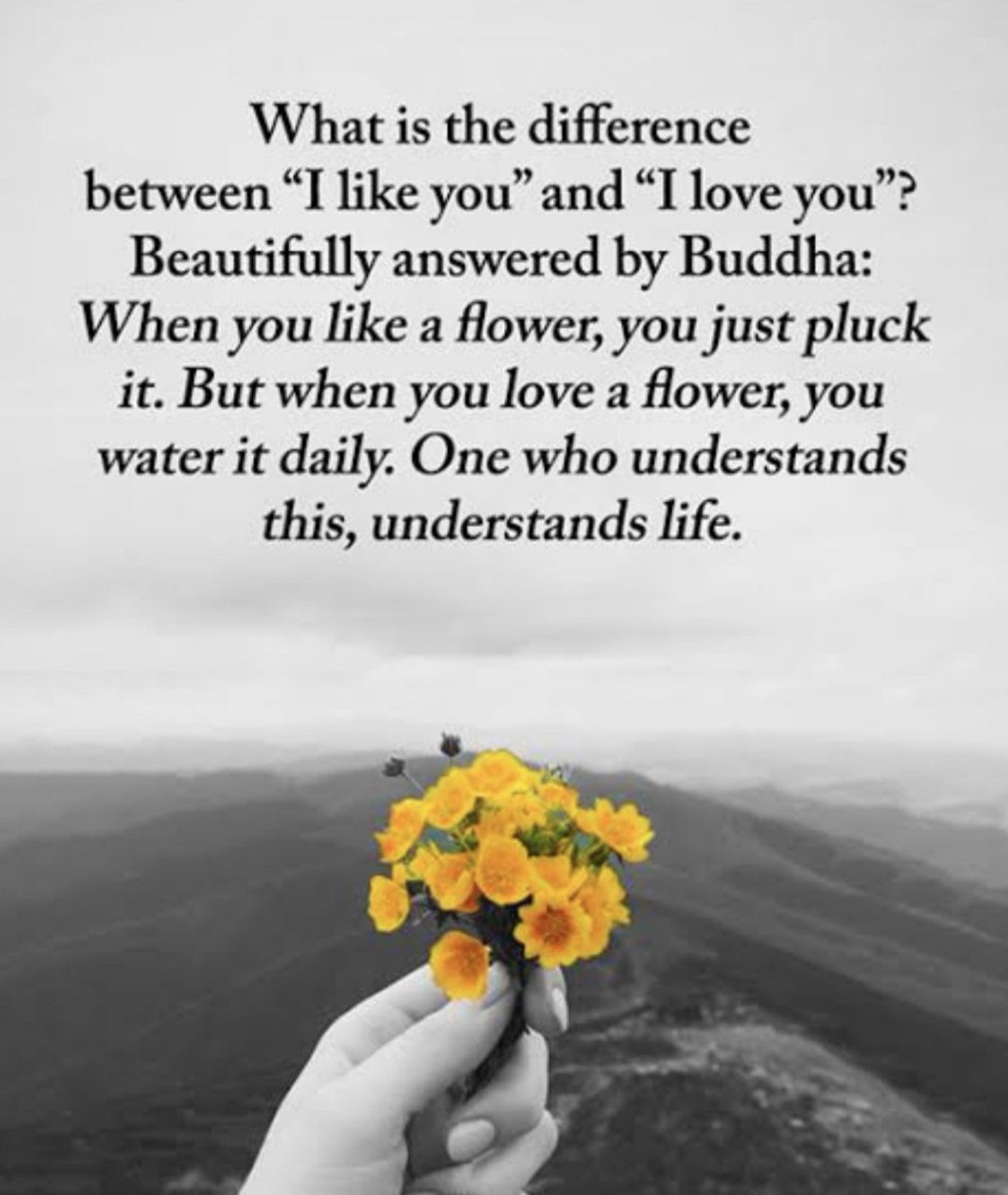 🩵🩵🩵
Radhe Radhe 🙏 🪷
Good Morning! Have a nice day everyone 😊