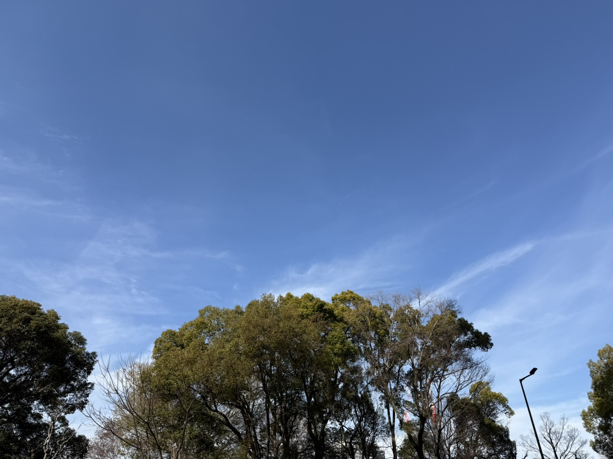 こんにちは！

もうすぐお昼ですね😊
今日のお昼ごはんには何を食べますか？ 寒い日が続くと温かいものが食べたくなって、うどんやそばの日が増えてしまいます。あの出汁の匂いが漂ってくると、ついつい暖簾をくぐって席についてしまうのです。
出汁は美味しいですね。

本日もよろしくお願いします！