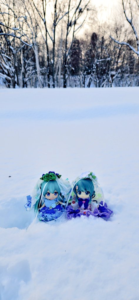 2013年から互いに活動を始めて13年。ようやく北海道(札幌)の地で綺麗