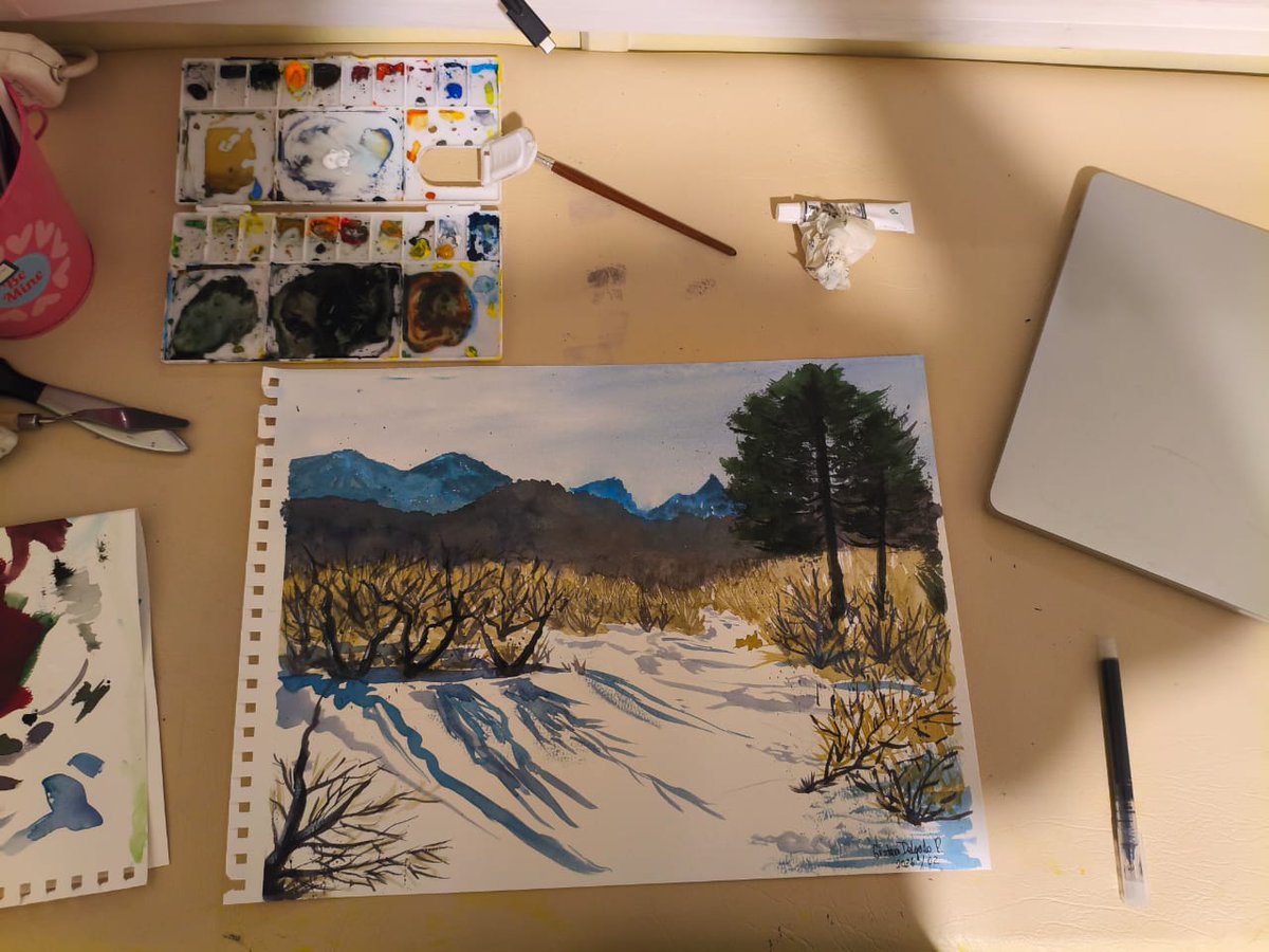 Siempre es difícil pintar nieve.
Me inspire en un hermoso lugar de la Araucania cerca del volcán Lanín.

#WatercolorArt #painting